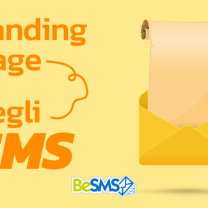 Scopri di più sull'articolo L’utilizzo della landing page in una campagna di SMS Marketing