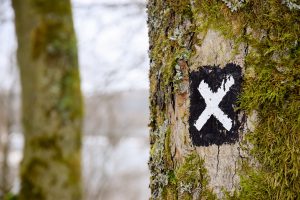 Scopri di più sull'articolo La versatilità dell’SMS marketing